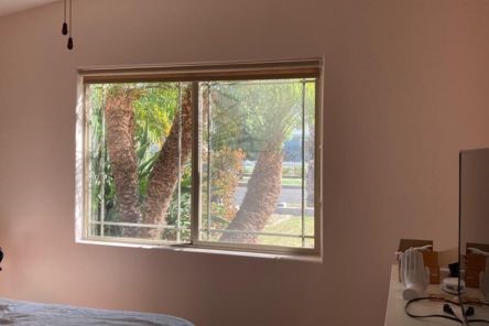 San Diego bedroom window fully uncovered showing lush palm trees and sunlight outside.
