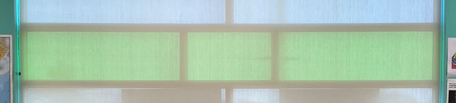High-Quality Roller Shades for Windows